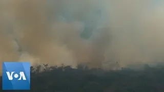 Brazil Wildfire: Fires Continue to Rage in Brazil's Amazon Rainforest