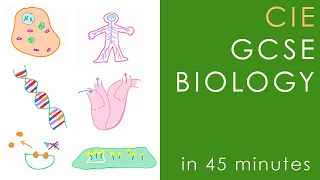 All of CIE Biology in 45 mins - GCSE Science Revision