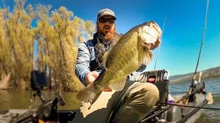 Senko and Underspin Tips For Big Bass! Kayak Bass Fishing on Clearlake