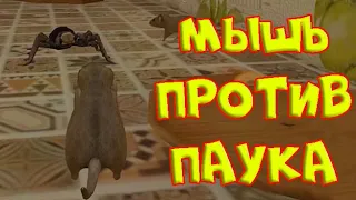 СИМУЛЯТОР маленькой МЫШИ На меня напал ПАУК и КОТ Ухаживаю за питомцем #6