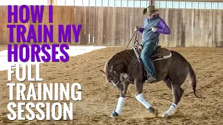 How to Train a Horse - Short Session Of My Favorite Exercises