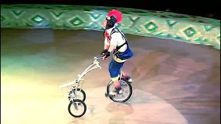 Circus. A clown and a broken bicycle. Smile. Цирк. Клоун и поломаный велосипед