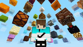 MINECRAFT TAPI AKU HIDUP DI BLOCK JARING RAKSASA !