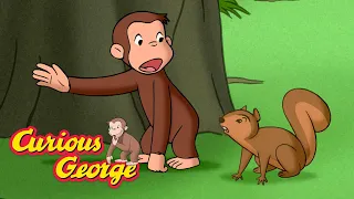 The Squirrel Needs Help! 🐵 Curious George 🐵 Kids Cartoon 🐵 Kids Movies