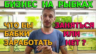 Бизнес идея на рыбках. Пройти мимо или остаться?