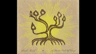 Birch Book - Vol. III - A Hand Full Of Days (Full album) | Folk from the USA | 2009