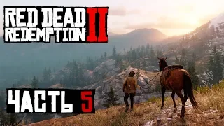 ✌ КТО БЕЗ ГРЕХА - прохождение Red Dead Redemption 2 часть 5