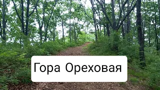 Гора Ореховая.