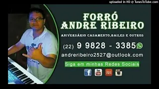 FORRÓ ANDRÉ RIBEIRO AO VIVO GRAVADO NO BOTAFOGUINHO PARTE 2