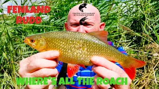 River fishing UK : Float Fishing a Fenland drain for Roach and Rudd
