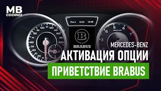 Mercedes Benz активация приветствия BRABUS на приборной панели! Для IC172, W463, W166, W156!