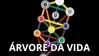 Entenda o que é a Árvore da Vida na Kabbalah