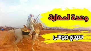 عشاق الخيل والبارود وعدة لمهايا سيدي موسى wa3da sidi moussa lamhaya 2022