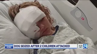 11-year-old credited with saving girl, 9, from dog attack