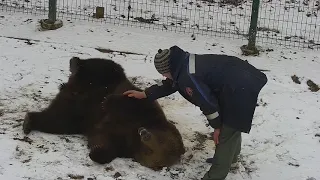 Как Андрей играет с Мансуром 🤗🐻