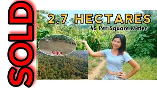 #Vlog28 | 2.7HECTARES | 45 Per Square Meter | ALONG BRGY. ROAD | Good for Livestock | 1.2M