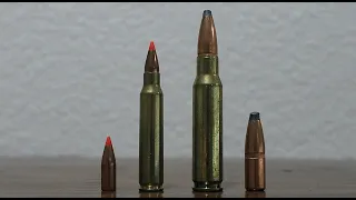 223 vs 308 Winchester Review & Comparison