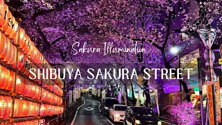 Exploring Shibuya Sakura Street | Cherry Blossoms in Japan🌸 | Shibuya Street View | Indian in Japan