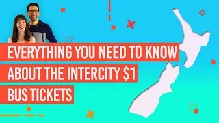 🚍 Intercity $1 Bus Tickets: Everything you need to know! - NZPocketguide.com