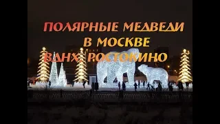 Новый год 2019. Полярные медведи в Парке "Акведук" в Ростокино, ВДНХ