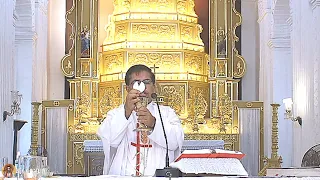 Seventh Week of Easter - Saturday - 22nd May 2021- Fr Peter Fernandes