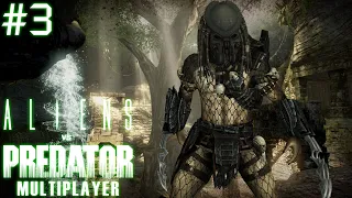 Aliens vs. Predator [2010] - Multiplayer #3