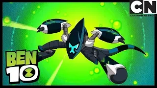 Reina De Las Abejas | Ben 10 en Español Latino | Cartoon Network