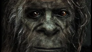 Sasquatch Speaks  (Rare Audio Recording)