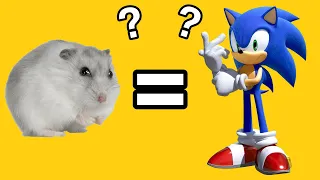 Sonic The Hamster