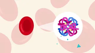 How is the MRC Molecular Haematology Unit advancing haematology?