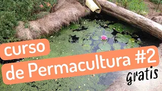 🐸 Estanque de jardín casero / SISTEMAS EN PERMACULTURA ⇢Curso GRATIS de Permacultura #2