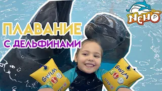 Плавание с Дельфинами в Дельфинарии НЕМО Минск. Как поплавать с Дельфинами. Подарок на ДР в 2021