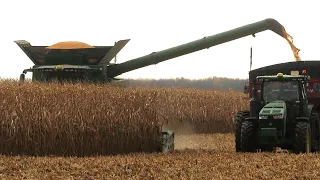 Corn Harvest 2023 | John Deere S770 Combine Harvesting Corn | Ontario, Canada