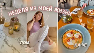 Неделя из жизни: Подруги, Закупка продуктов, Уют, Книга || #влог