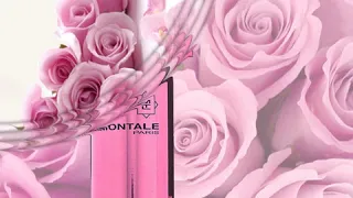 montale roses musk almaty