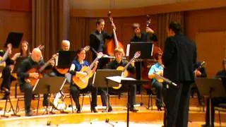 ORINOCO FLOW - Enya - Orkester Mandolina Ljubljana - dirigent Andrej Zupan