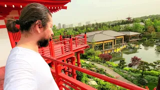 The JAPANESE GARDEN in Russia | chapter 1