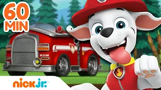 PAW Patrol Marshall's Red Hot Fire Rescues! 🚒 w/ Chase & Skye | 60 Minute Compilation | Nick Jr.