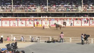 Stubborn Bull At Calgary Stampede.