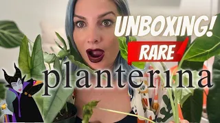 UNBOXING Spooky Rare Plants from PLANTERINA