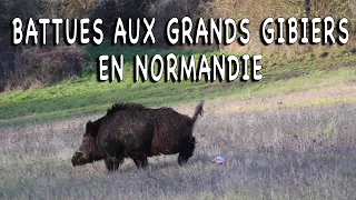 Big game drives in Normandy