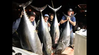 Giant Pacific Bluefin Tuna in Southern California! Kite Fishing; LIMITS!