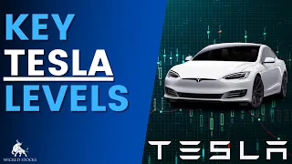 Tesla Stock Price Analysis | Key Levels and Signals for Tuesday, July 25th, 2023