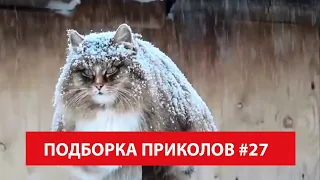 Кот на Морозе - Веселые Видео Недели - Подборка Приколов #27