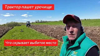 Хожу за трактором, который пашет урочище.