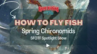 FLY FISHING: SPRING CHIRONONIDS SPOTLIGHT SHOW