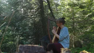 The Wind that Shakes the Barley (Traditional Irish Music)