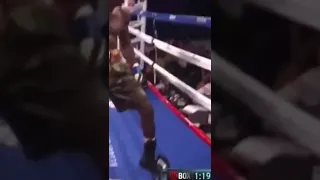Deontay Wilder knockouts
