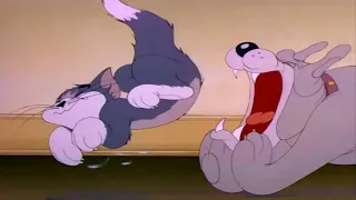 Tom and Jerry Reversed Episode (Dog Trouble)