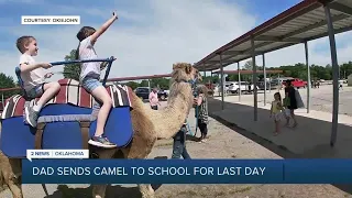 Oklahoma dad picks up kids with camel on last day of school